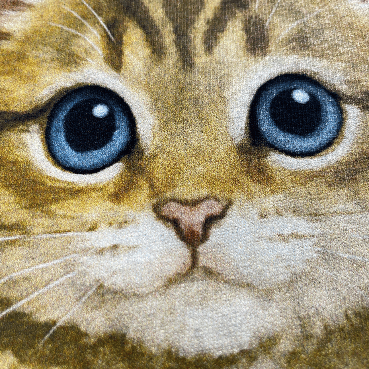 SEBASTIAN KITTEN T SHIRT